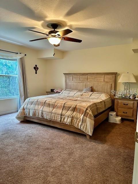 1746 Heron Cove Drive Lutz, FL 33549 - Photo 28 of 40