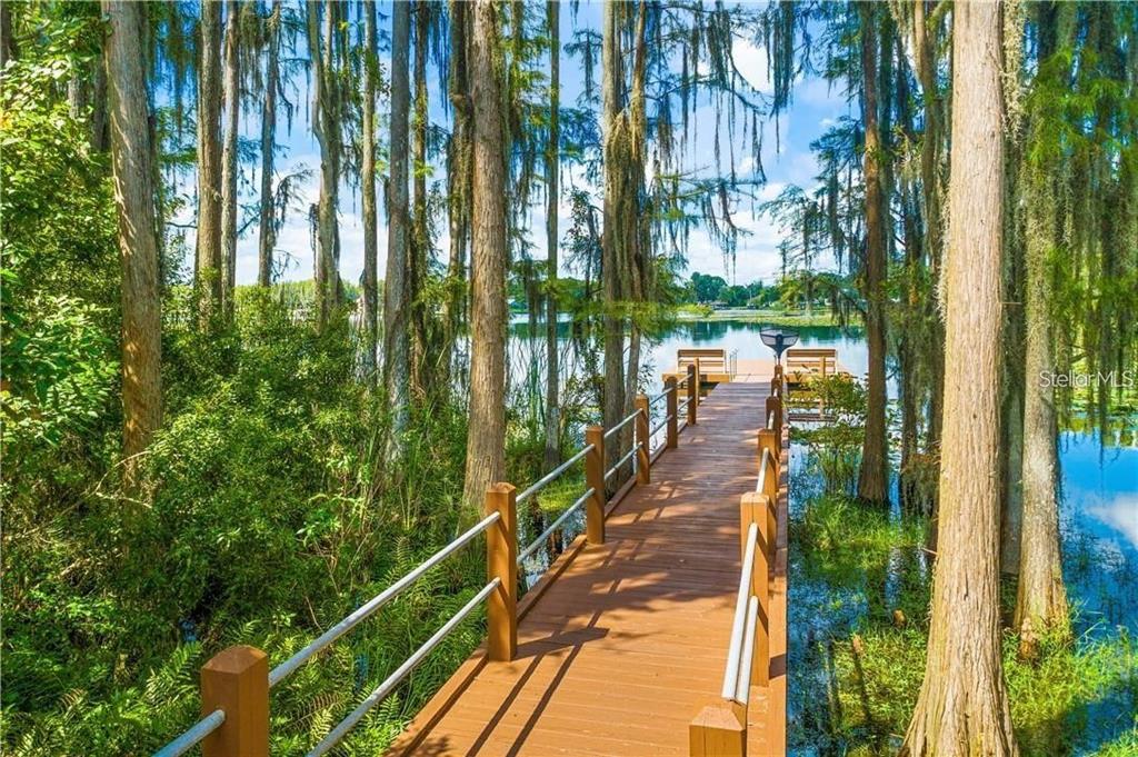 1746 Heron Cove Drive Lutz, FL 33549 - Photo 5 of 40