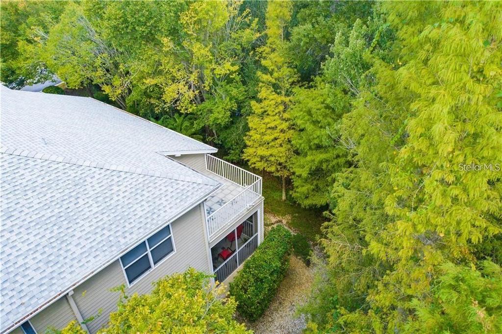 1746 Heron Cove Drive Lutz, FL 33549 - Photo 8 of 40