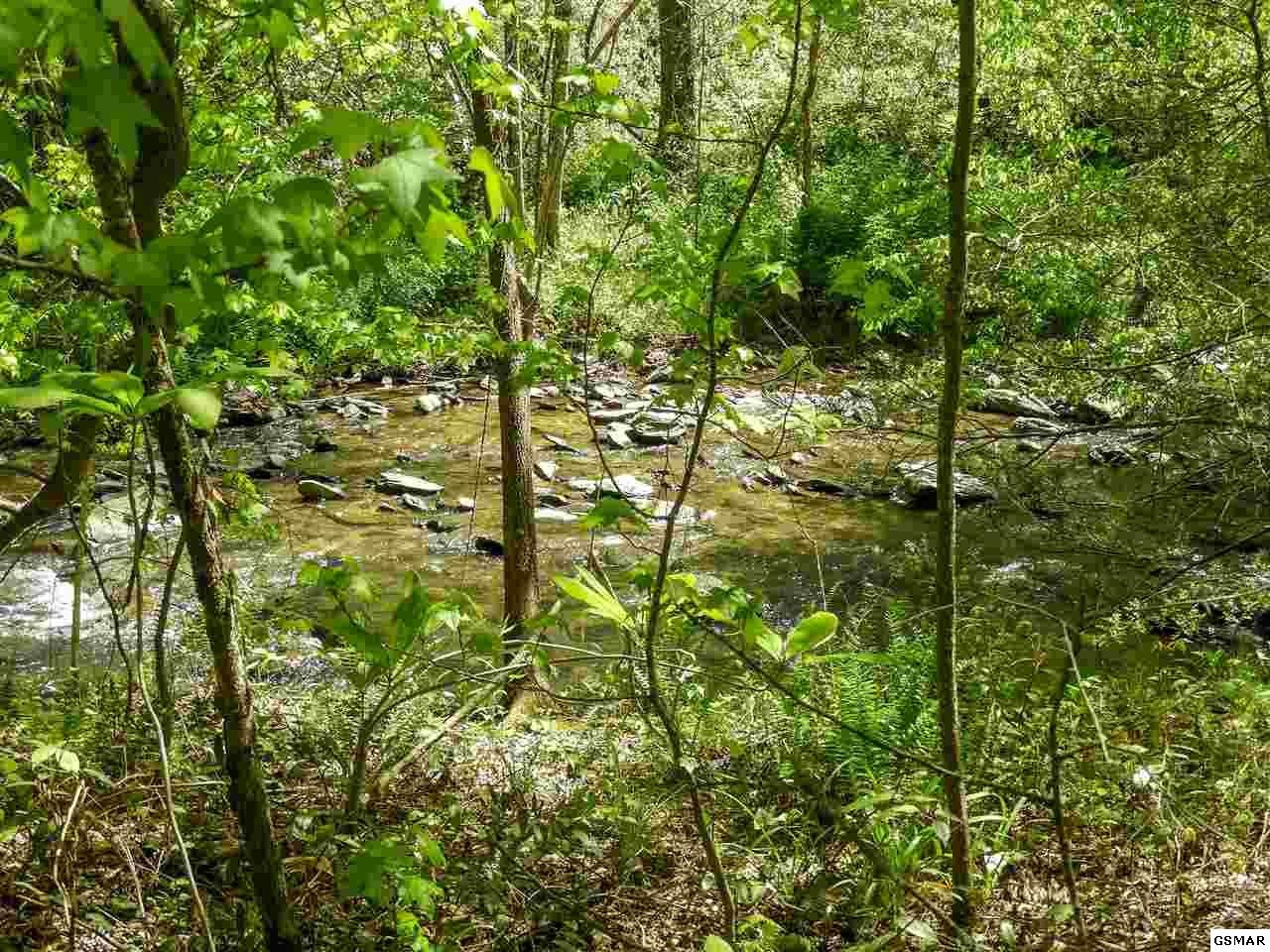 7 Old Birds Creek Road Sevierville, TN 37876 - Photo 5 of 15