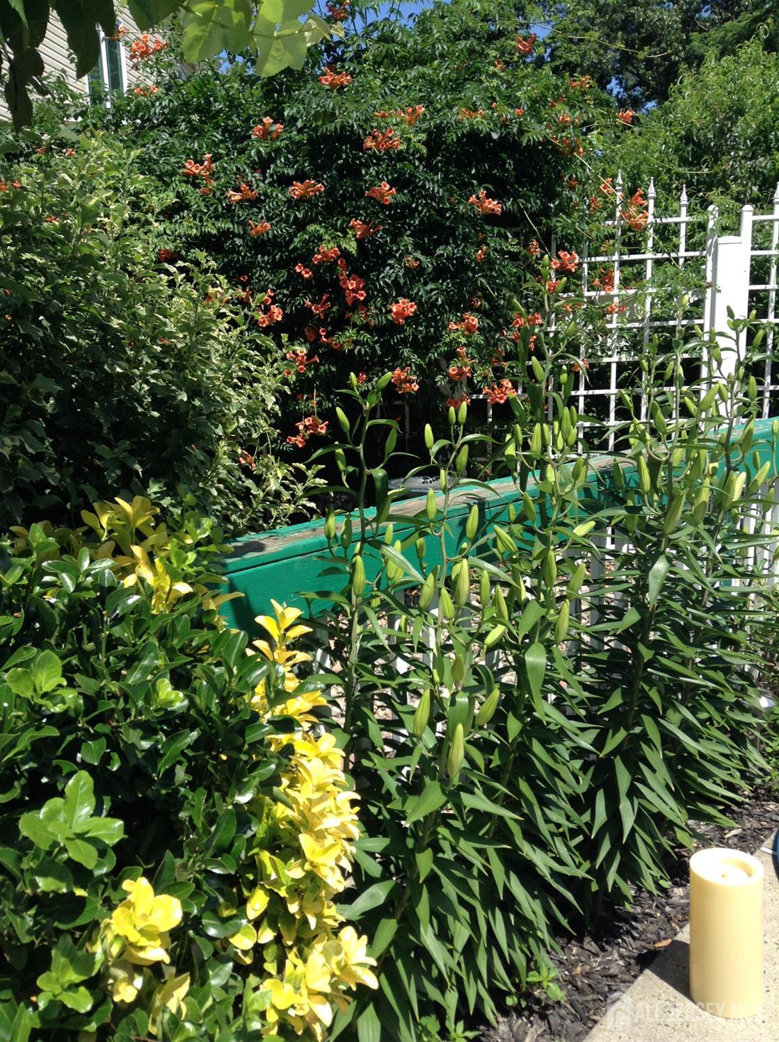 16 Marsad Drive Old Bridge, NJ 08857 - Photo 4 of 18 a view of a garden