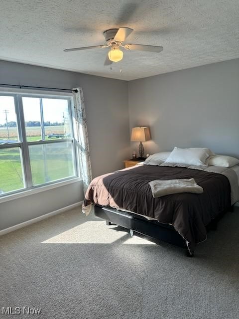 2761 Omega Road Greenwich, OH 44837 - Photo 36 of 50 Bedroom featuring ceiling fan, carpet flooring, and a textured ceiling