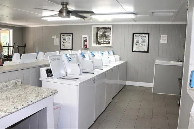 a view of a park with large trees