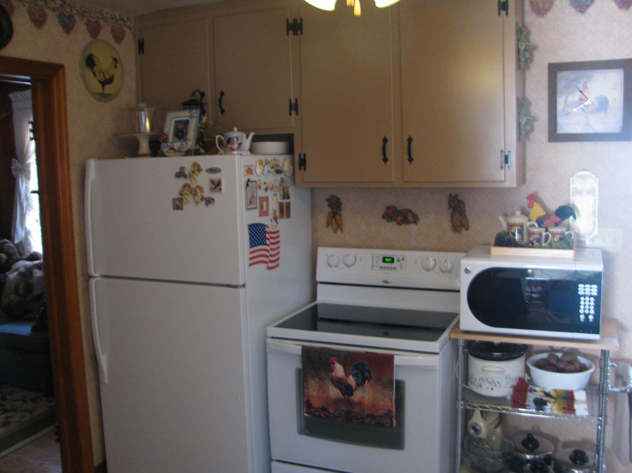 1633 Reece Road Salem, VA 24153 - Photo 6 of 16 A view of the kitchen appliances