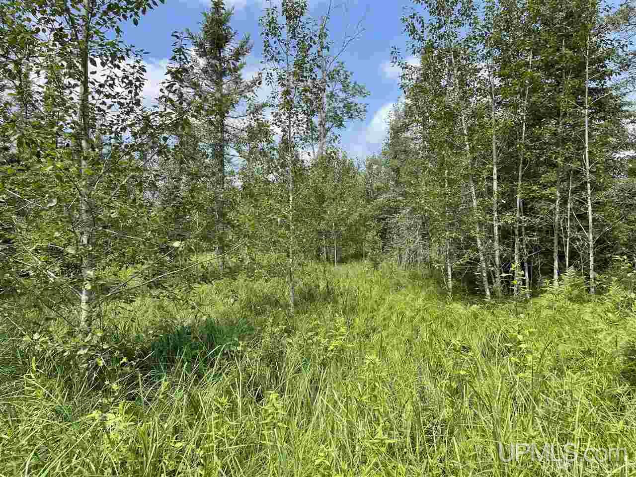Tbd Off Nowack Road, Unit 1 Powers, MI 49874 - Photo 26 of 32