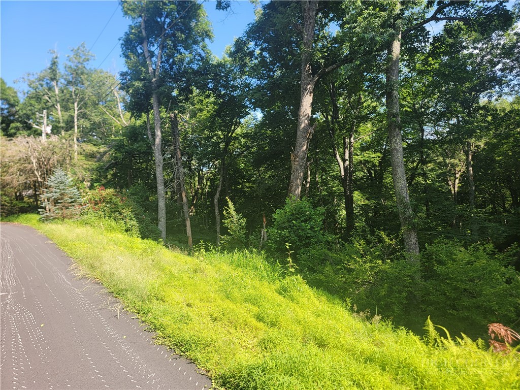 Tree Top Drive Boone, NC 28607 - Photo 3 of 3