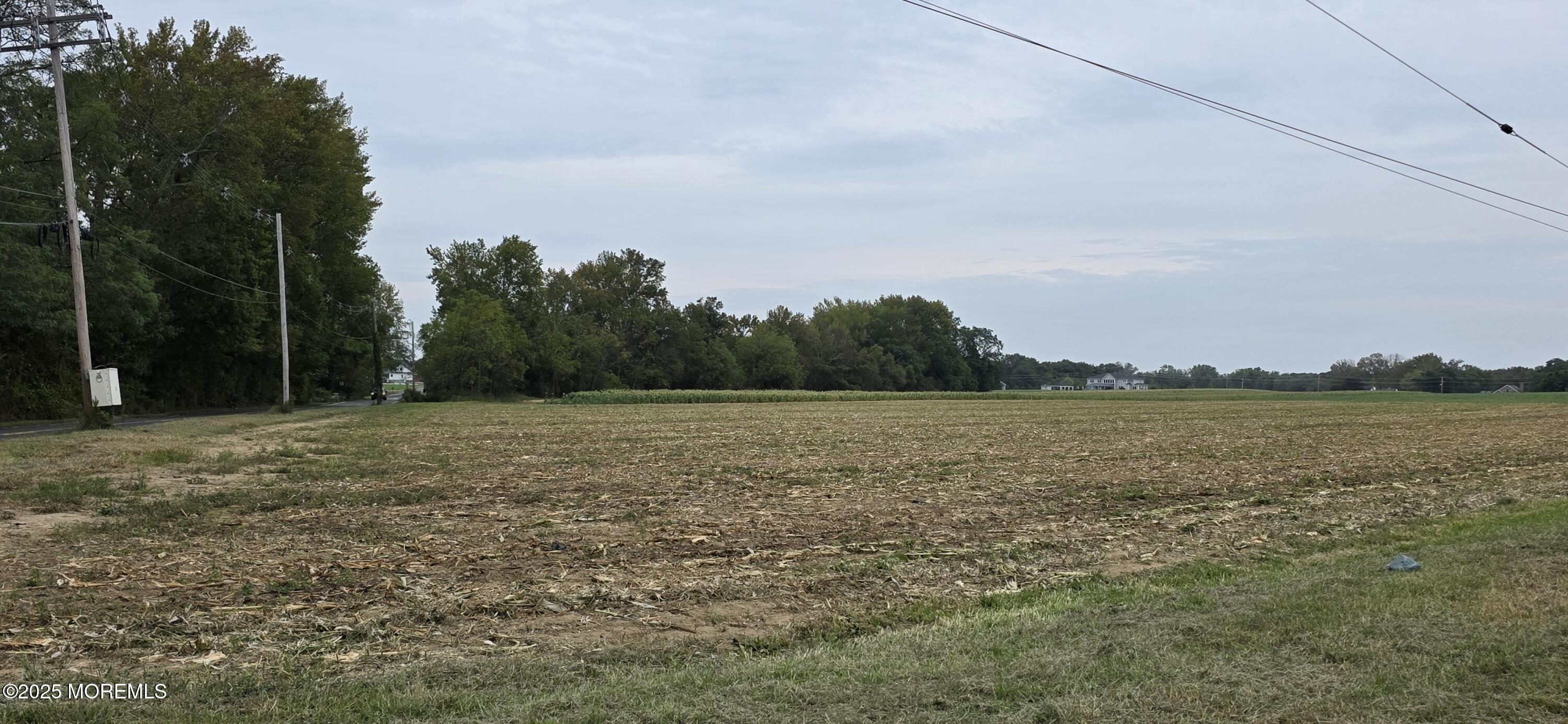 a view of a field with trees in background