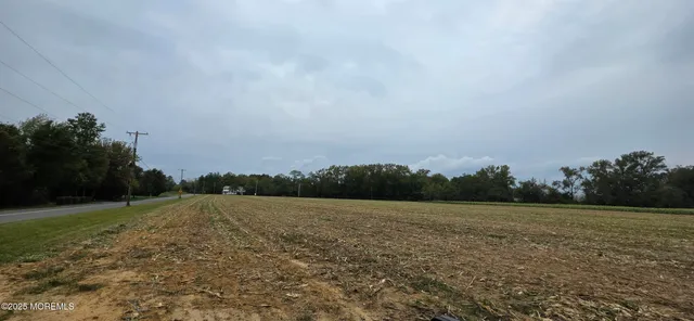 a view of a field with an trees in the background