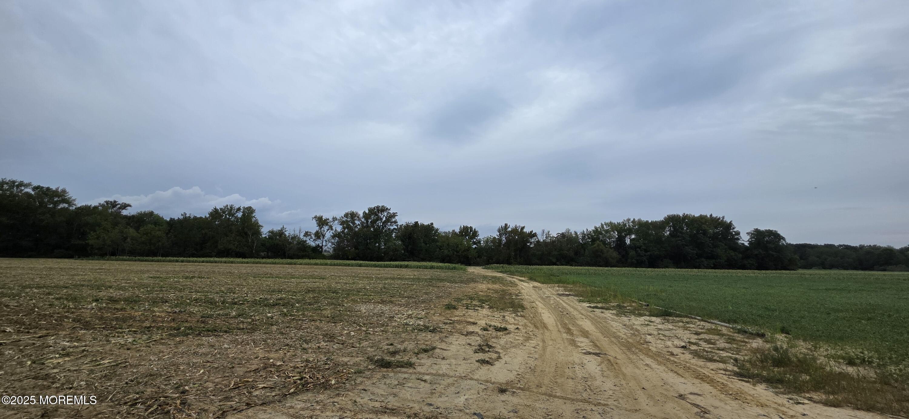 138 Howell Road Freehold, NJ 07728 - Photo 13 of 24 a view of a field with an trees in the background