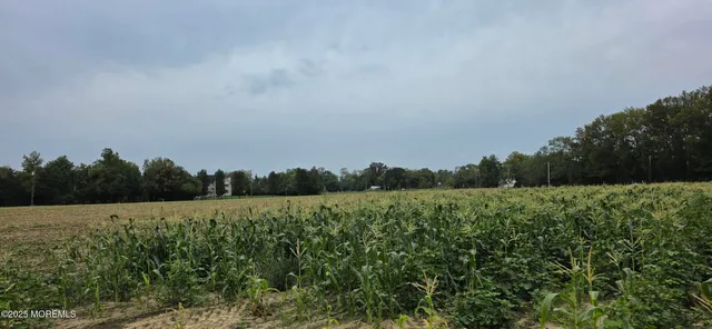 a view of a field with trees in background