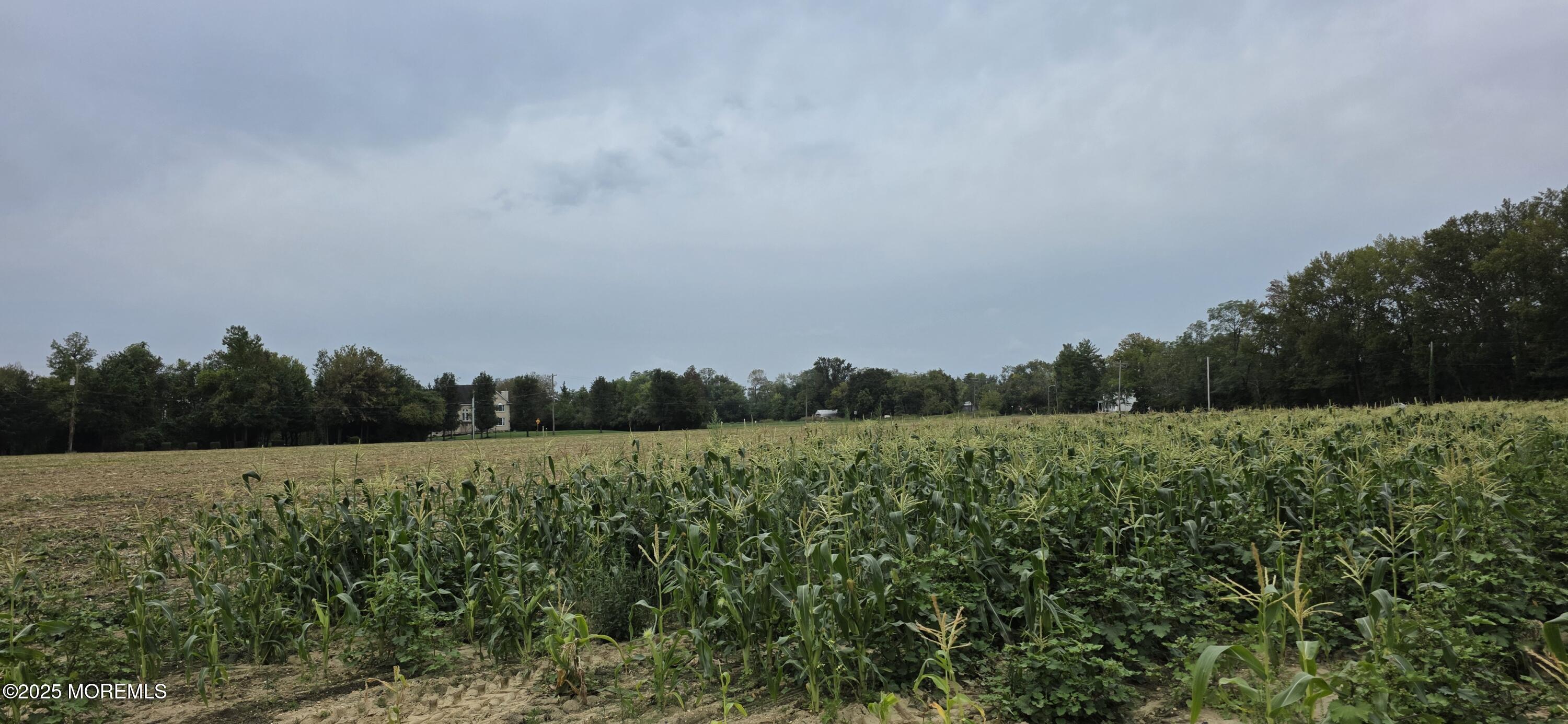 138 Howell Road Freehold, NJ 07728 - Photo 15 of 24 a view of an outdoor space and a yard