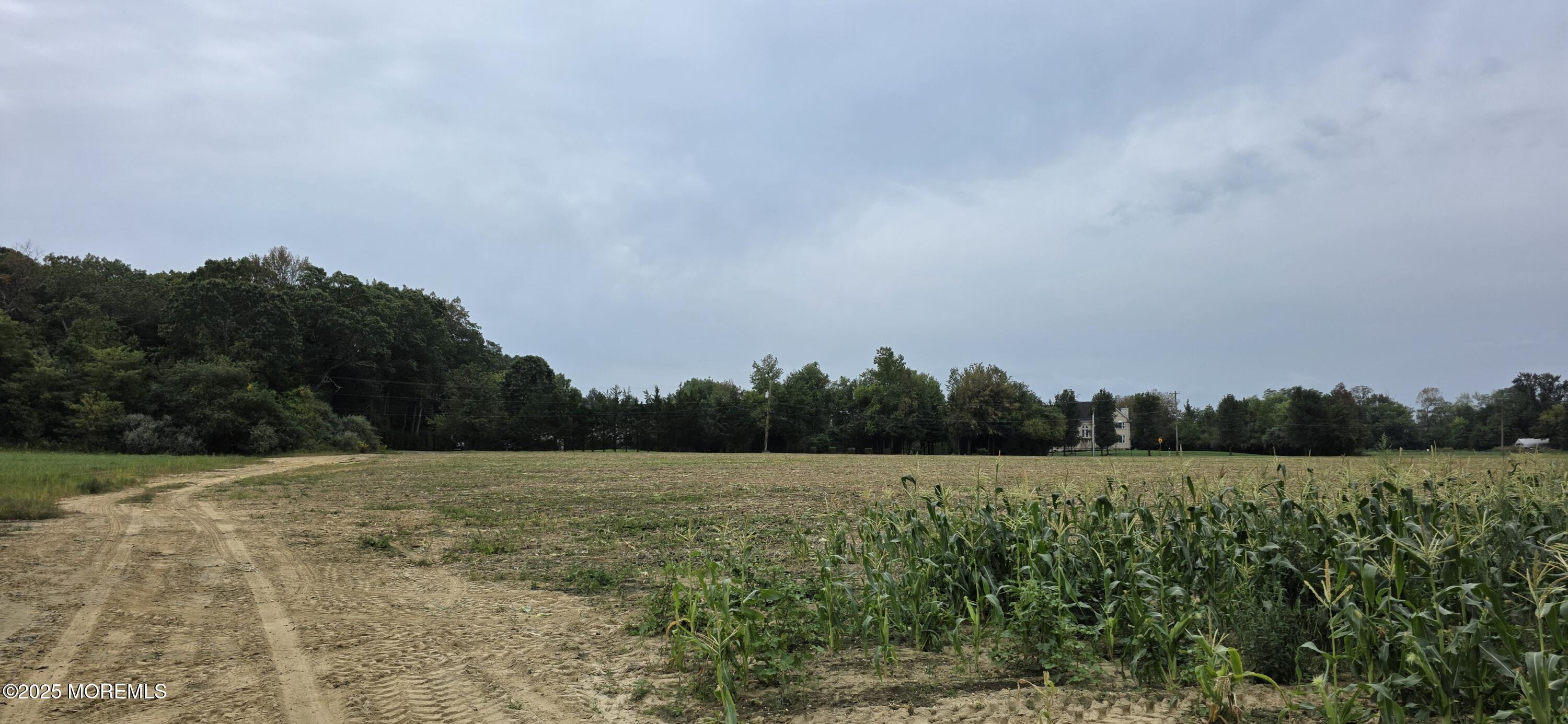 138 Howell Road Freehold, NJ 07728 - Photo 16 of 24 a view of a field with trees in background