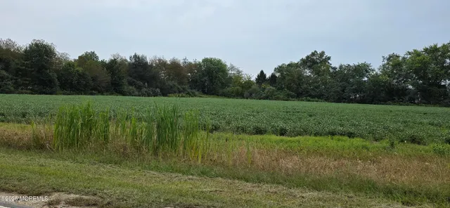 a view of a garden with a lake