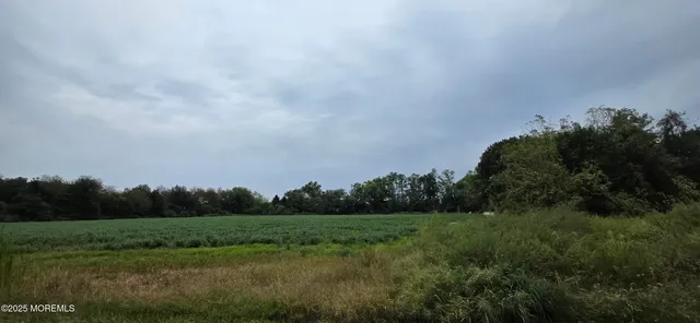 a view of a field with an ocean in background