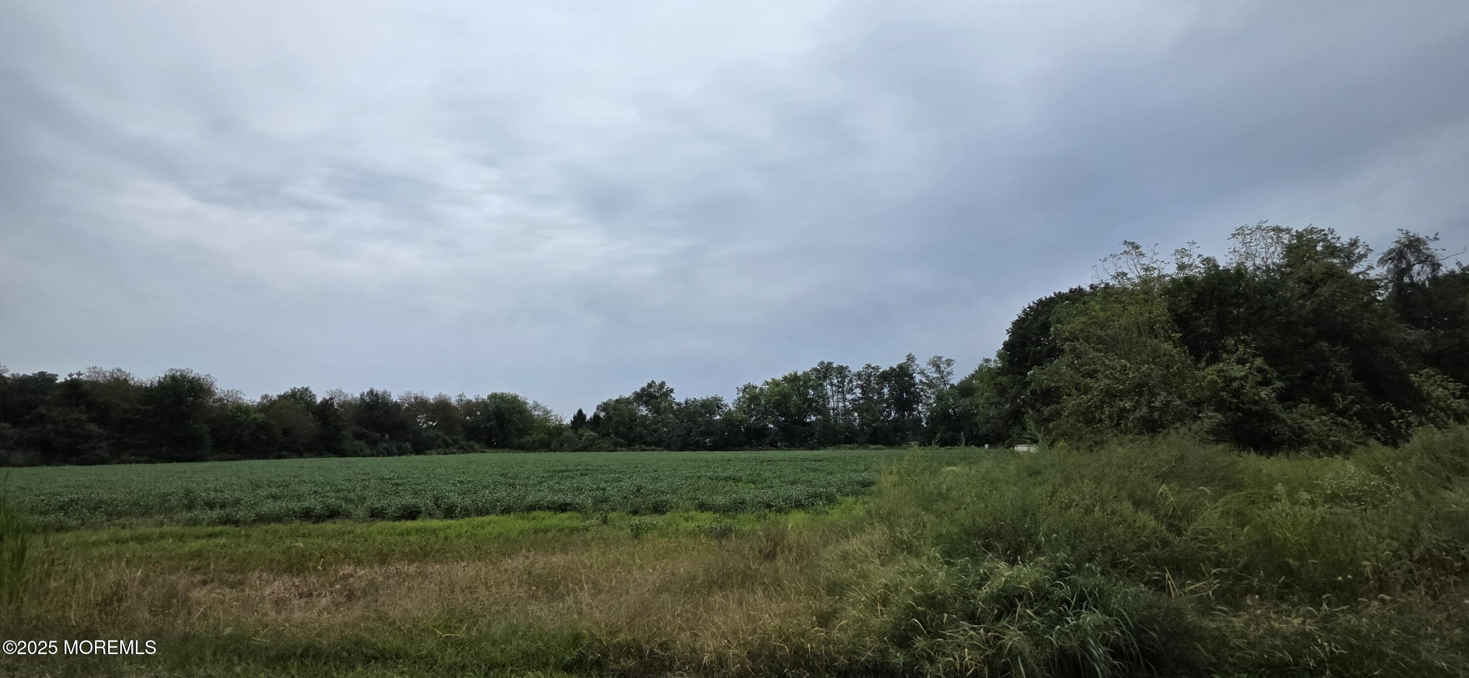 138 Howell Road Freehold, NJ 07728 - Photo 9 of 24 a view of a big yard next to a yard
