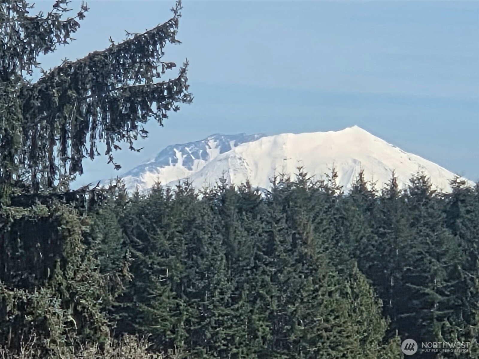 124 Gunnell Road Winlock, WA 98596 - Photo 39 of 40