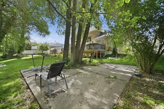 883 East 700 South Springville, UT 84663 - Photo 51 of 59 Expansive backyard featuring a concrete patio, mature trees, and a manicured lawn
