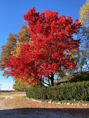 a view of outdoor space with seating space
