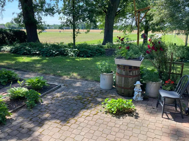 a view of a garden with a flower garden