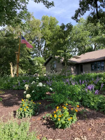 a backyard of a house with plants and trees