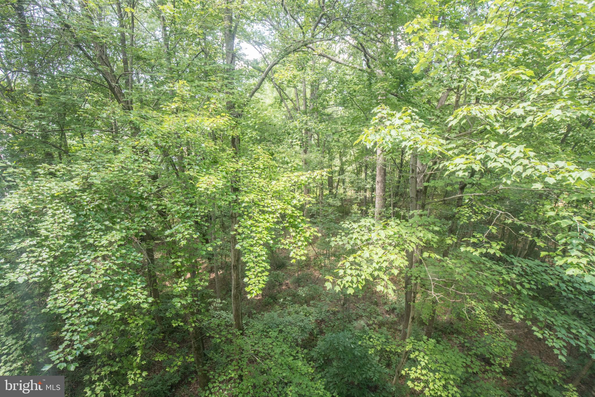 1501 North Point Drive, Unit 304 Reston, VA 20194 - Photo 27 of 28 Gallery Image 27