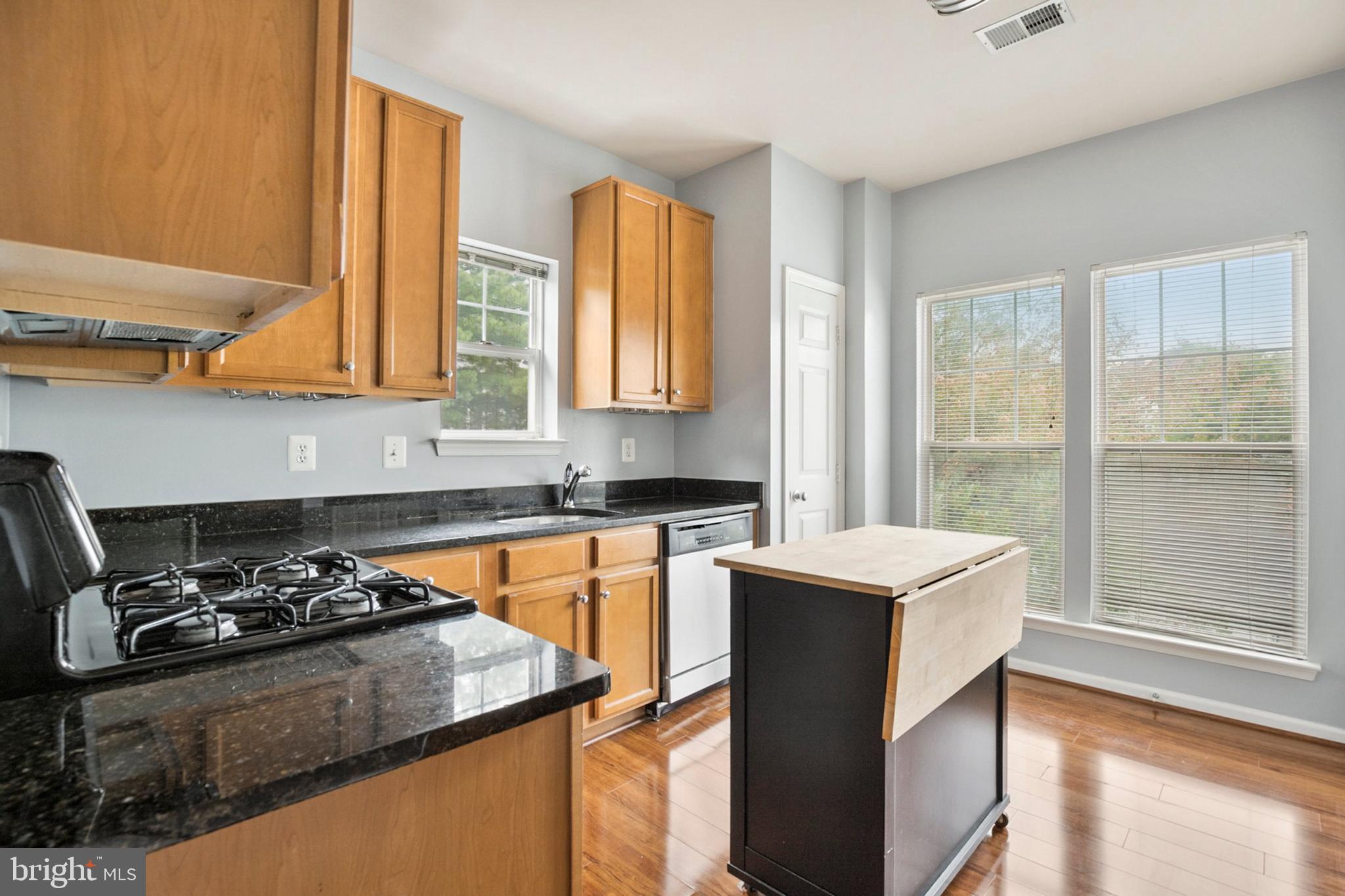 1501 North Point Drive, Unit 304 Reston, VA 20194 - Photo 9 of 28 Gallery Image 9