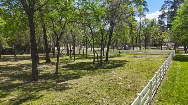 a view of park with trees