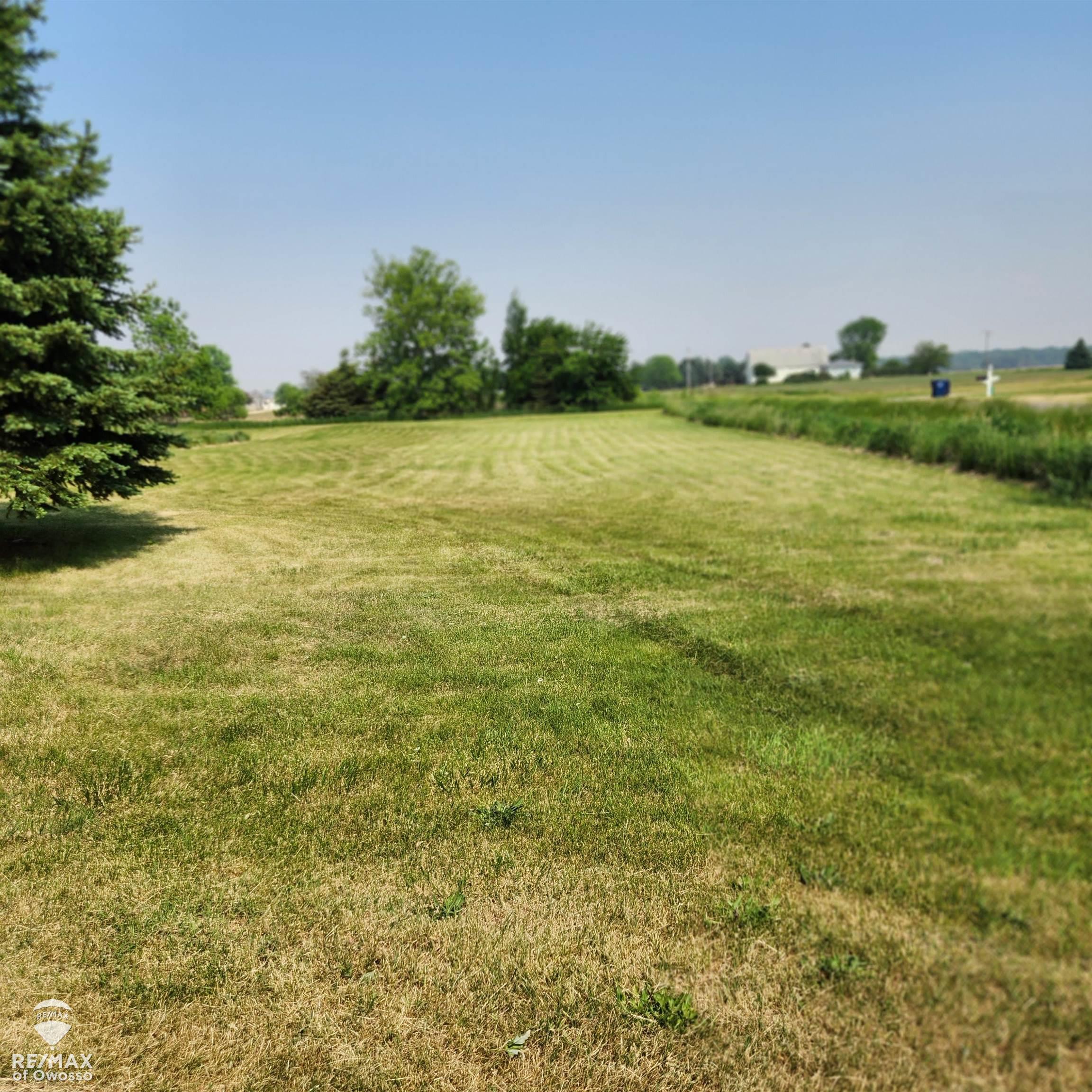 16110 West Ridge Road Oakley, MI 48649 - Photo 4 of 26