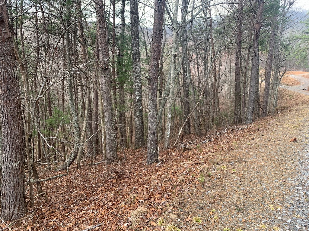 Lot 20 Wolf Ridge Lane Murphy, NC 28906 - Photo 17 of 27