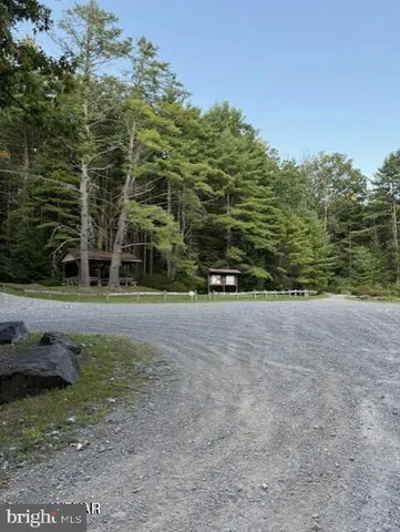 a view of a field with trees