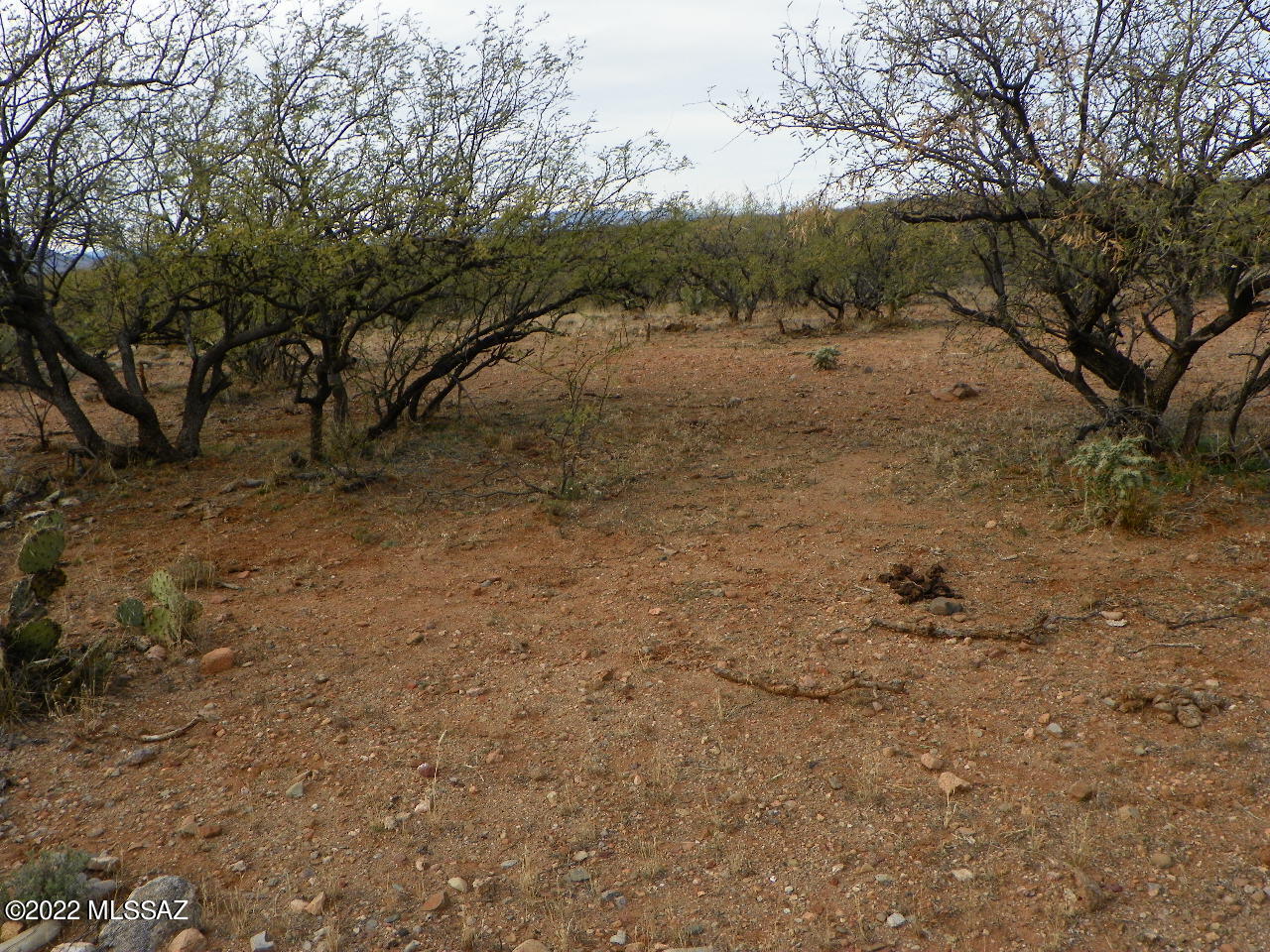 316 Camino Josefina, Unit 55 Rio Rico, AZ 85648 - Photo 3 of 6
