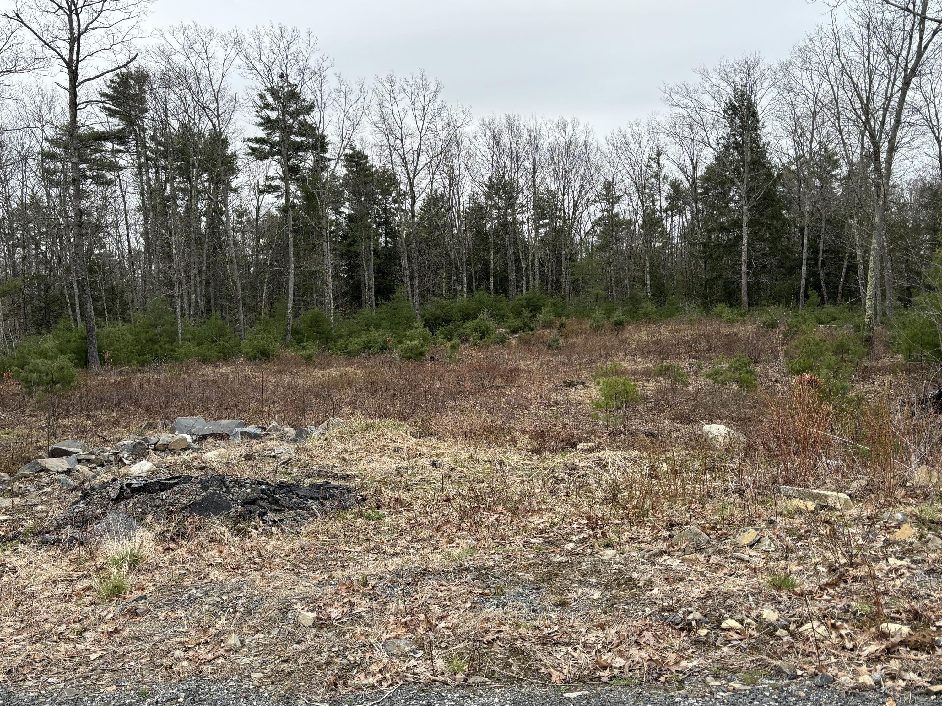Lot 4 Webber Ridge Ln Wells Wells, ME 04090 - Photo 4 of 32 IMG_1879