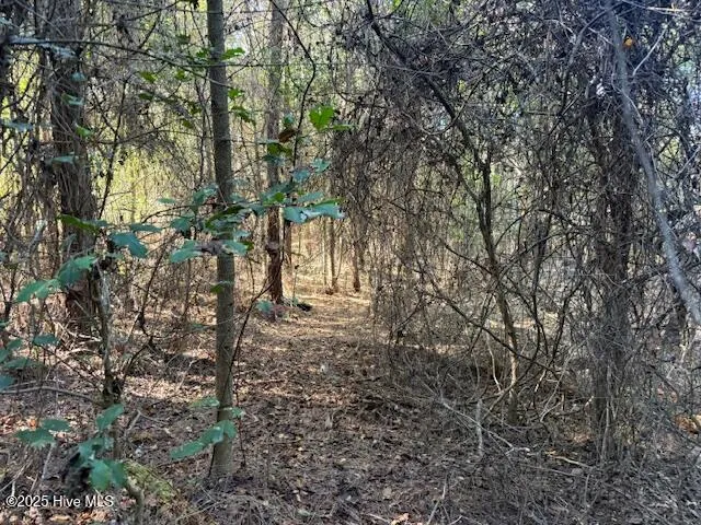 $70,000 | 0 Knight Way Southeast, Winnabow, NC 28479