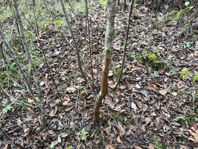 $70,000 | 0 Knight Way Southeast, Winnabow, NC 28479