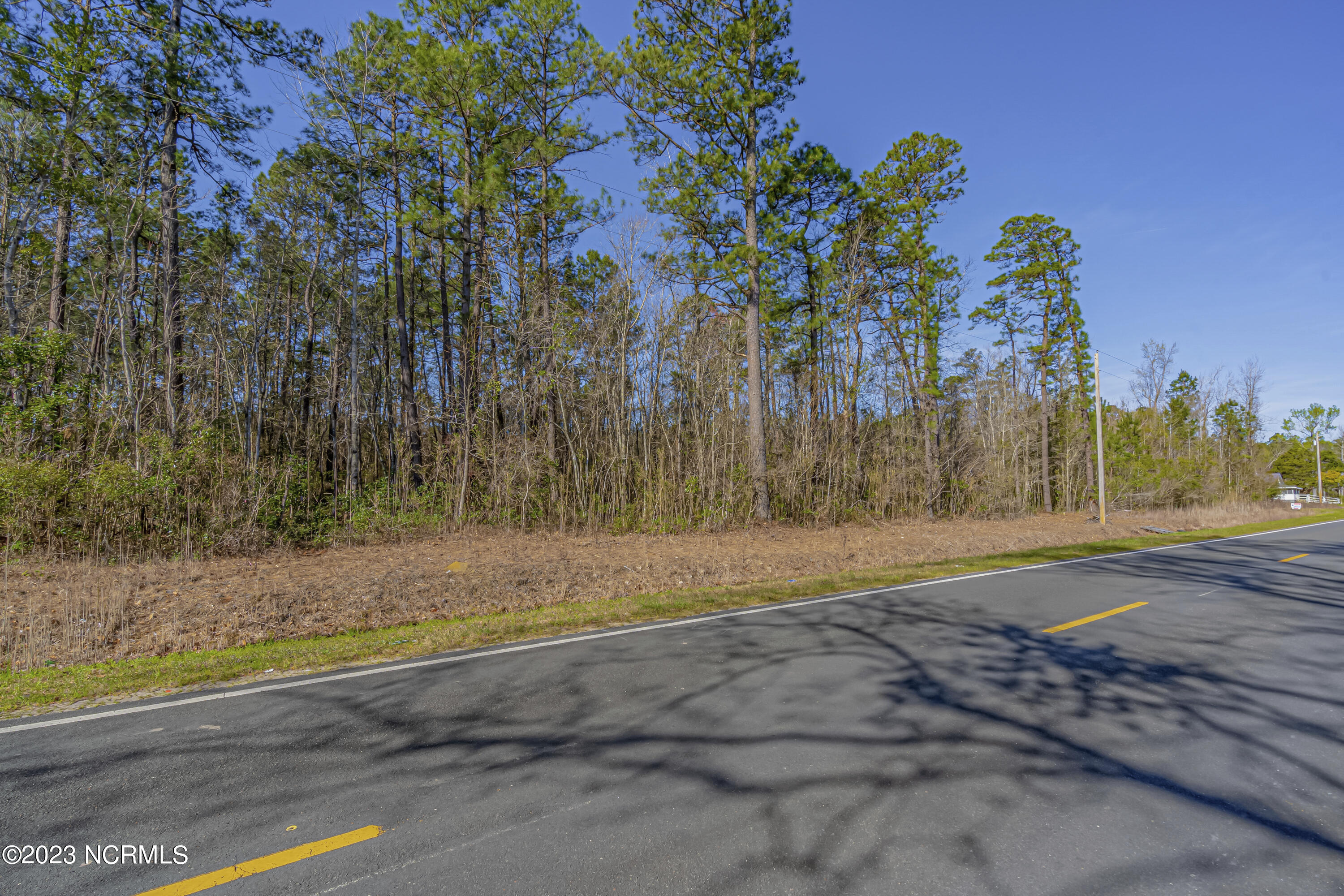 Tbd Tbd Wright Road Tabor City, NC 28463 - Photo 11 of 20 TBD Wright Rd