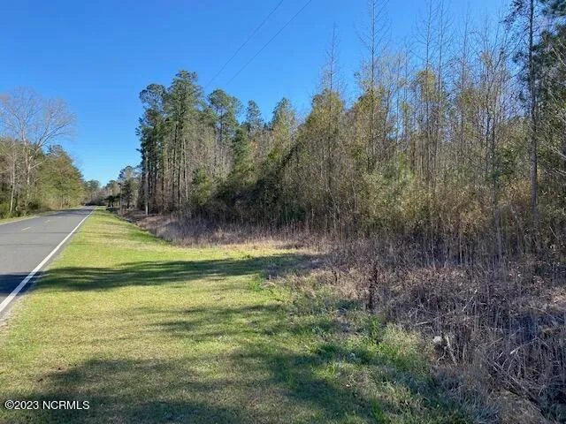 $593,200 | Tbd Tbd Wright Road, Tabor City, NC 28463