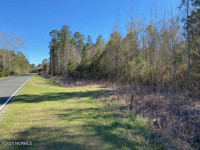 Tbd Tbd Wright Road Tabor City, NC 28463 - Photo 15 of 20 TBD Wright Rd