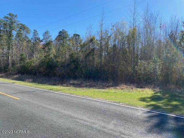 Tbd Tbd Wright Road Tabor City, NC 28463 - Photo 16 of 20 TBD Wright Rd