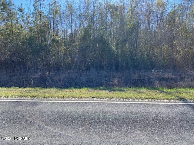 Tbd Tbd Wright Road Tabor City, NC 28463 - Photo 18 of 20 TBD Wright Rd