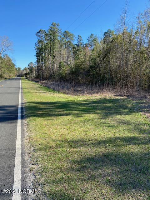 Tbd Tbd Wright Road Tabor City, NC 28463 - Photo 20 of 20 TBD Wright Rd