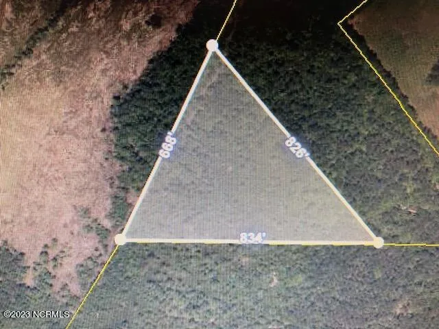 $593,200 | Tbd Tbd Wright Road, Tabor City, NC 28463