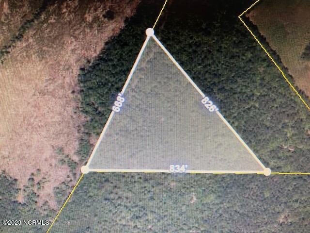 Tbd Tbd Wright Road Tabor City, NC 28463 - Photo 8 of 20 TBD Wright Rd