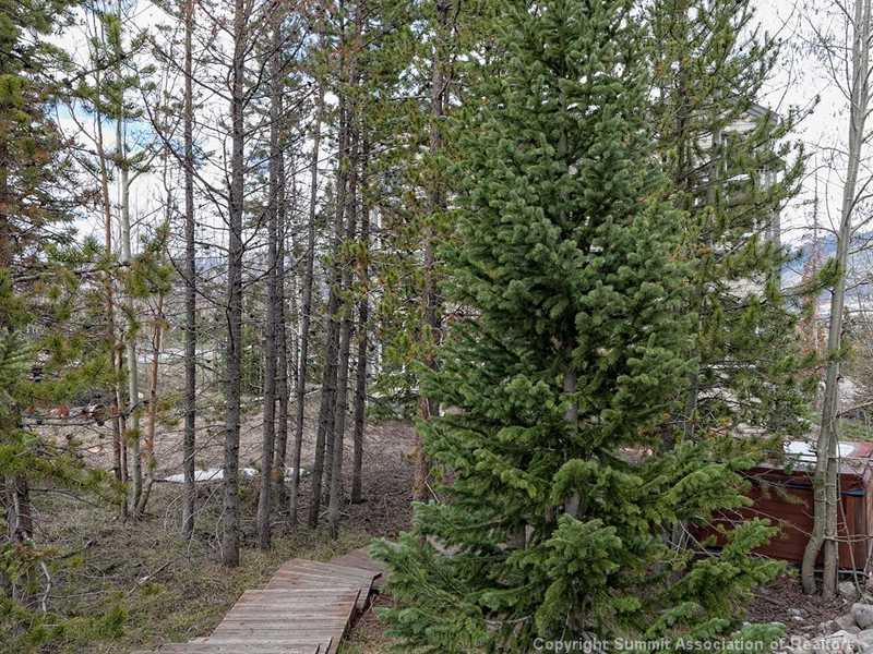 9020 Ryan Gulch Road Silverthorne, CO 80498 - Photo 19 of 25 Yard/Garden.
