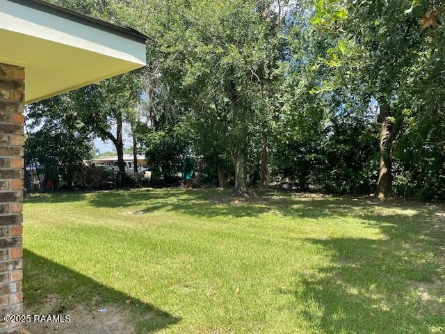 110 Raggio Drive Scott, LA 70583 - Photo 9 of 9 Rear Yard
