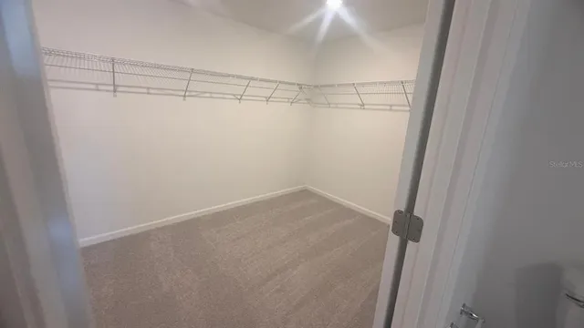 a view of a room with racks on the wall