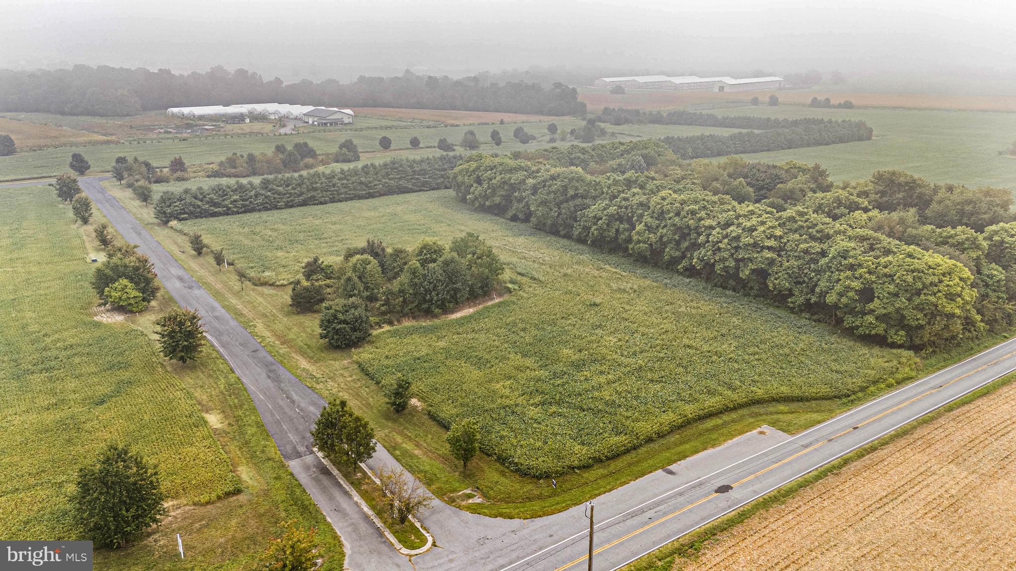 460 Old Telegraph Road Warwick, MD 21912 - Photo 12 of 17 Gallery Image 12