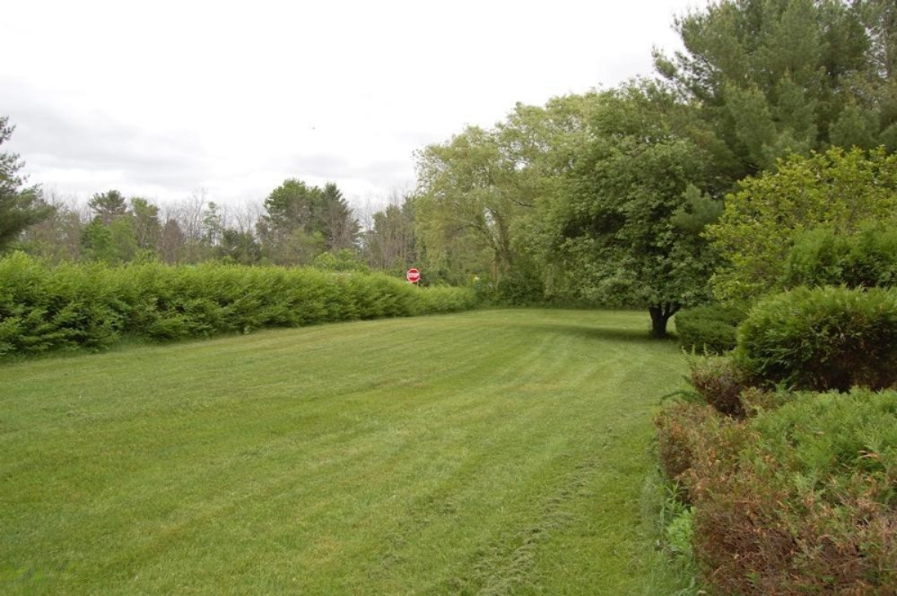 Front Lawn
