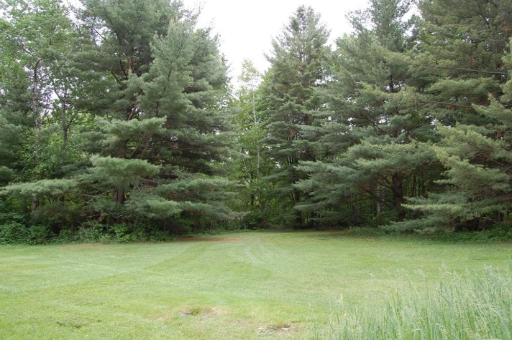 9015 Buchanan Road Mecosta, MI 49332 - Photo 8 of 11 Over 2 acres!