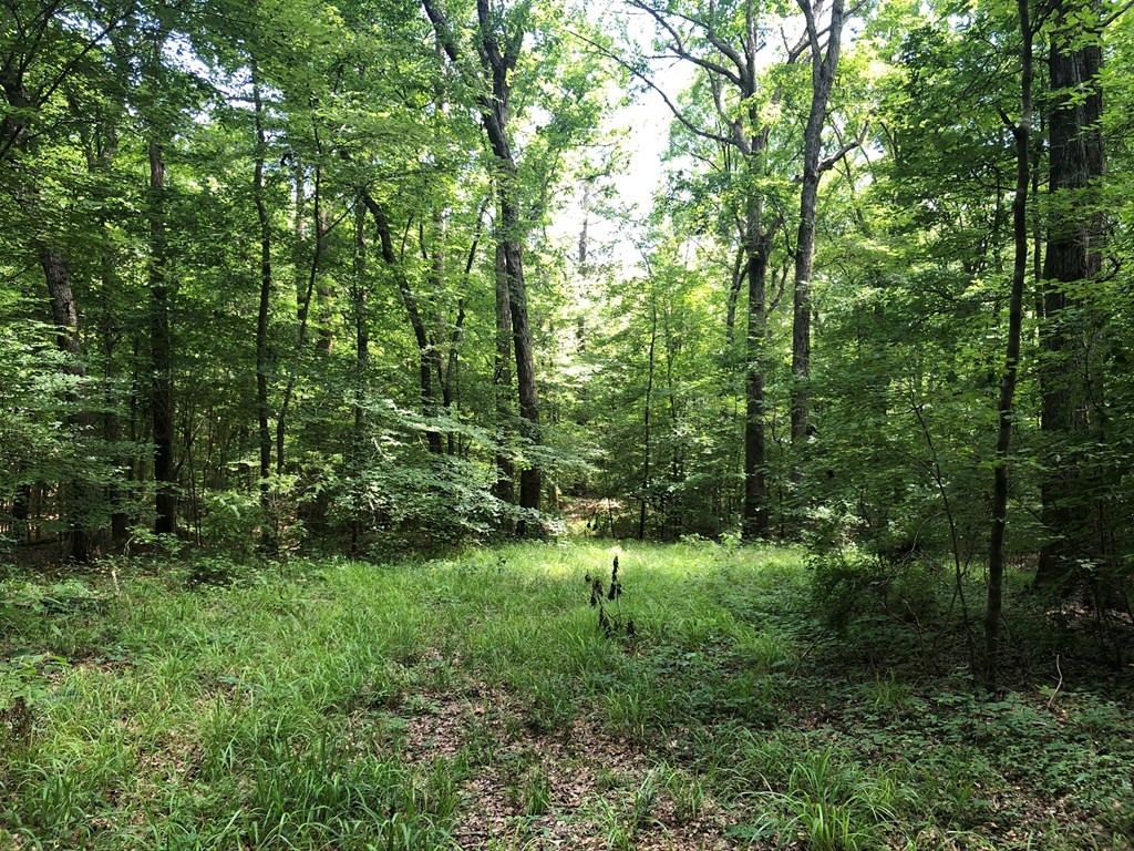 1568 Brumfield Road Southwest Bogue Chitto, MS 39629 - Photo 19 of 30 Photo 19