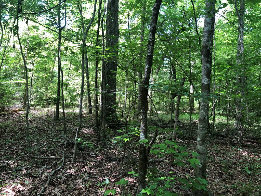 1568 Brumfield Road Southwest Bogue Chitto, MS 39629 - Photo 20 of 30 Photo 20